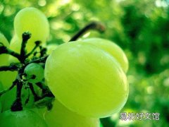 葡萄籽哪些人不能吃 什么年龄的人吃葡萄籽好