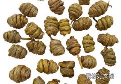 喝铁皮石斛注意什么 这些注意事项要知道
