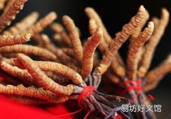 冬虫夏草高血压可以吃吗 冬虫夏草高血压患者怎么吃