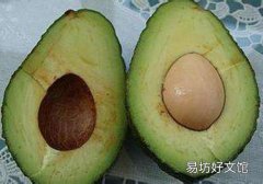 牛油果核有毒吗 牛油果核能吃吗