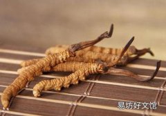 冬虫夏草每天吃多少合适 冬虫夏草可以每天吃吗