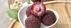 杨梅可以放冰箱冷冻吗 冰箱冷冻的杨梅一年了可以吃吗