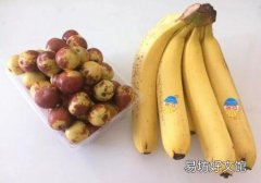 香蕉和冬枣一起吃什么味 香蕉和冬枣你敢一起吃吗？