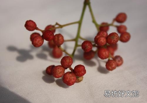 花椒和艾叶泡脚的功效 小小两物泡脚作用大!