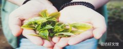 绿茶泡出来发黄是怎么回事 绿茶泡多久就不能喝了