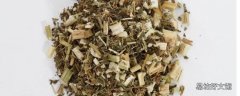 益母草熬水什么时候喝 益母草熬水能天天喝吗