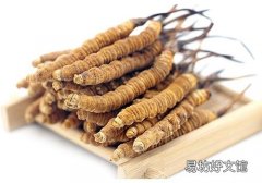 冬虫夏草熬鸡汤的做法 冬虫夏草熬鸡汤的功效