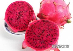 火龙果白的好还是红的好 火龙果白的和红的有什么区别