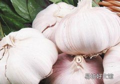 蜂蜜泡大蒜几天能吃吗 蜂蜜泡大蒜的制作方法