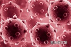 诺如病毒会传染吗 诺如病毒传播途径有哪些