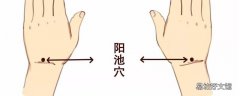 阳池的准确位置图和作用 阳池怎么按摩