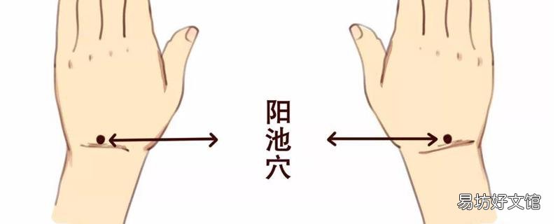 阳池的准确位置图和作用 阳池怎么按摩