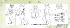 冲脉的准确位置图 冲脉堵塞有哪些症状