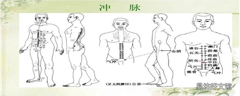 冲脉的准确位置图 冲脉堵塞有哪些症状
