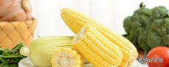 玉米煮多久就可以熟了 带皮新鲜玉米能放几天