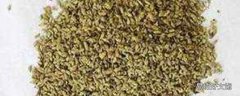 槐米茶的功效与作用 槐米茶的五大功效是什么