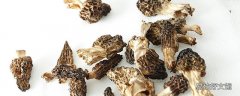 羊肚菌吃了上火吗 羊肚菌每天吃几个最好