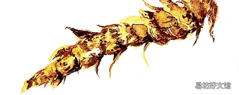 黄连素片的功效与作用 黄连素片的禁忌是什么