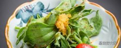 冰菜怎么吃 冰菜的功效与作用