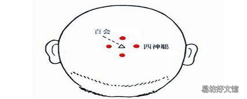 四神聪的准确位置图 四神聪的功效和作用