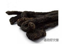 肉苁蓉枸杞泡酒的比例 肉苁蓉枸杞泡酒的功效