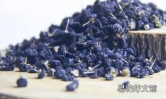 黑枸杞女人喝有什么好处 这6大好处你肯定不知道！