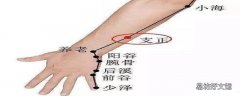 支正的作用 支正的准确位置及功效