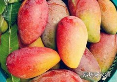 女生为什么不能吃芒果