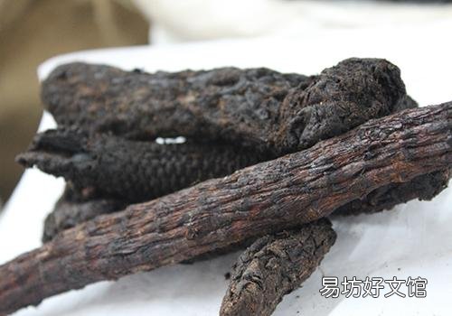 女人吃肉苁蓉的好处 这5大好处你都知道吗