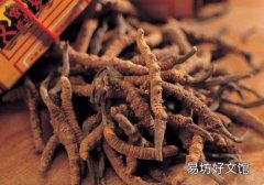 冬虫夏草糖尿病可以吃吗 糖尿病吃冬虫夏草好吗