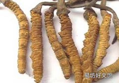 冬虫夏草能吃下去吗 冬虫夏草怎么吃最好