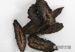 肉苁蓉糖尿病可以吃吗 糖尿病患者饮食宜忌