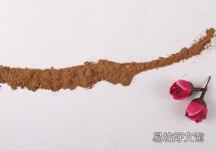 冬虫夏草粉怎么吃最好 吃冬虫夏草粉有什么好处