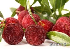 杨梅用盐水泡多久 冻杨梅需要用盐水浸泡吗
