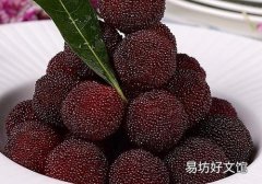 杨梅可以减肥吗 什么样的人不能吃杨梅减肥