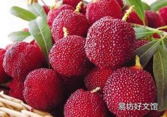 杨梅放冷冻可以放多久 吃冷冻的杨梅要解冻吗