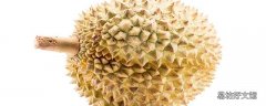 榴莲煲鸡的大忌榴莲煲鸡能放酒下去煲吗