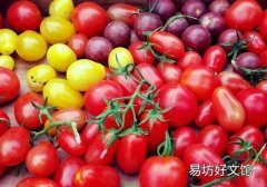 圣女果可以和苹果一起吃吗 圣女果和苹果一起吃有什么好处