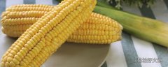 甜玉米要蒸多久才熟透 甜玉米可以生吃吗