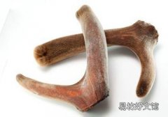 鹿茸粉怎么吃 鹿茸粉什么时候吃最好