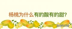 杨桃为什么有的酸有的甜 杨桃可以直接啃着吃吗
