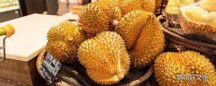 没开的榴莲要放冰箱吗 榴莲开了一半发现没熟