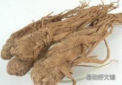 当归黄芪水喝了上火吗 当归黄芪泡水喝的功效