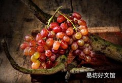 葡萄籽可以空腹吃吗 空腹吃葡萄籽会恶心吗
