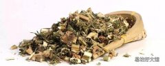 感冒能喝益母草吗 益母草能和感冒药一起吃吗