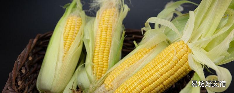苦瓜和玉米须能一起泡吗 玉米须能天天泡水喝吗