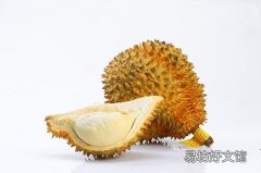 为什么榴莲吃起来有点苦 榴莲有点酒味还能吃吗