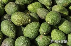 牛油果和榴莲能一起吃吗 牛油果不跟什么一起吃