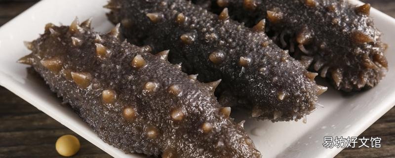 海参发白还能不能吃 海参为什么要用纯净水泡发