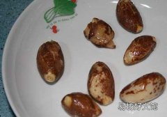 榴莲核的功效与作用